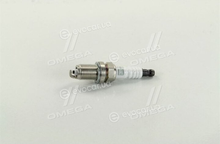 Champion OE016/T10