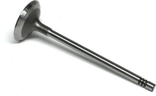 Gunes 4424