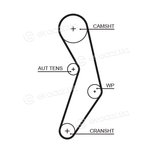 Gates K015503XS