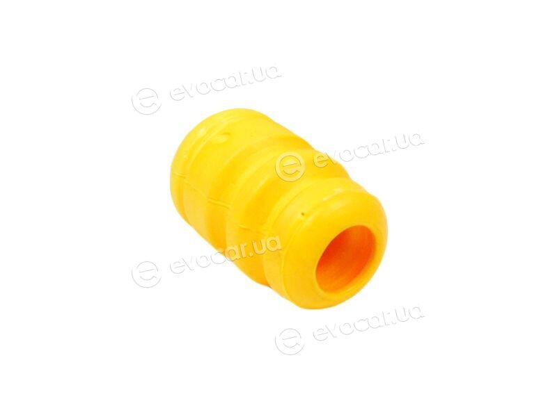 Tedgum 00289647
