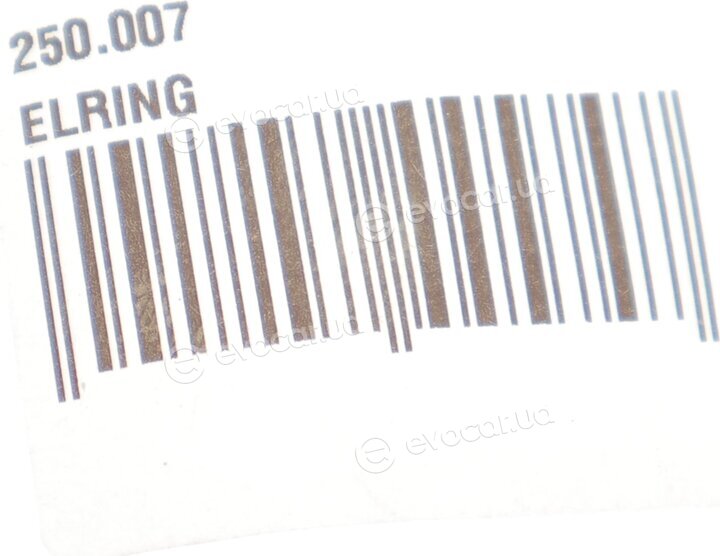 Elring 250.007