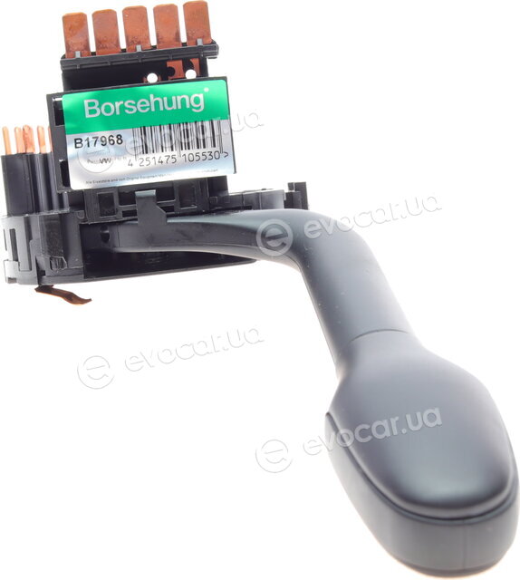 Borsehung B17968