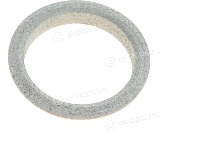 Elring 703.613