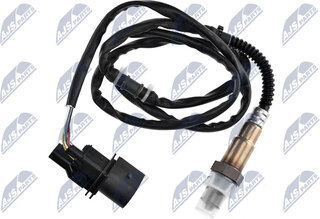 NTY ESL-AU-002