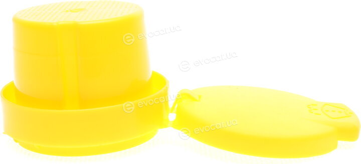 Renault / Nissan 289135972R