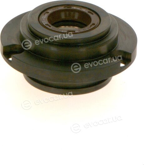 Bosch F 01M 101 215