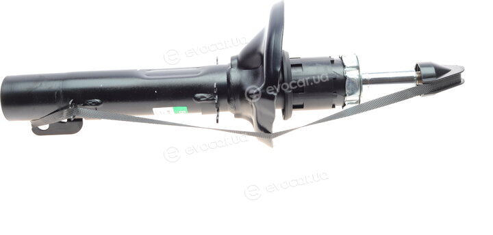 Borsehung B12134