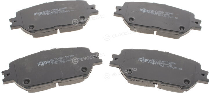 Icer 181689