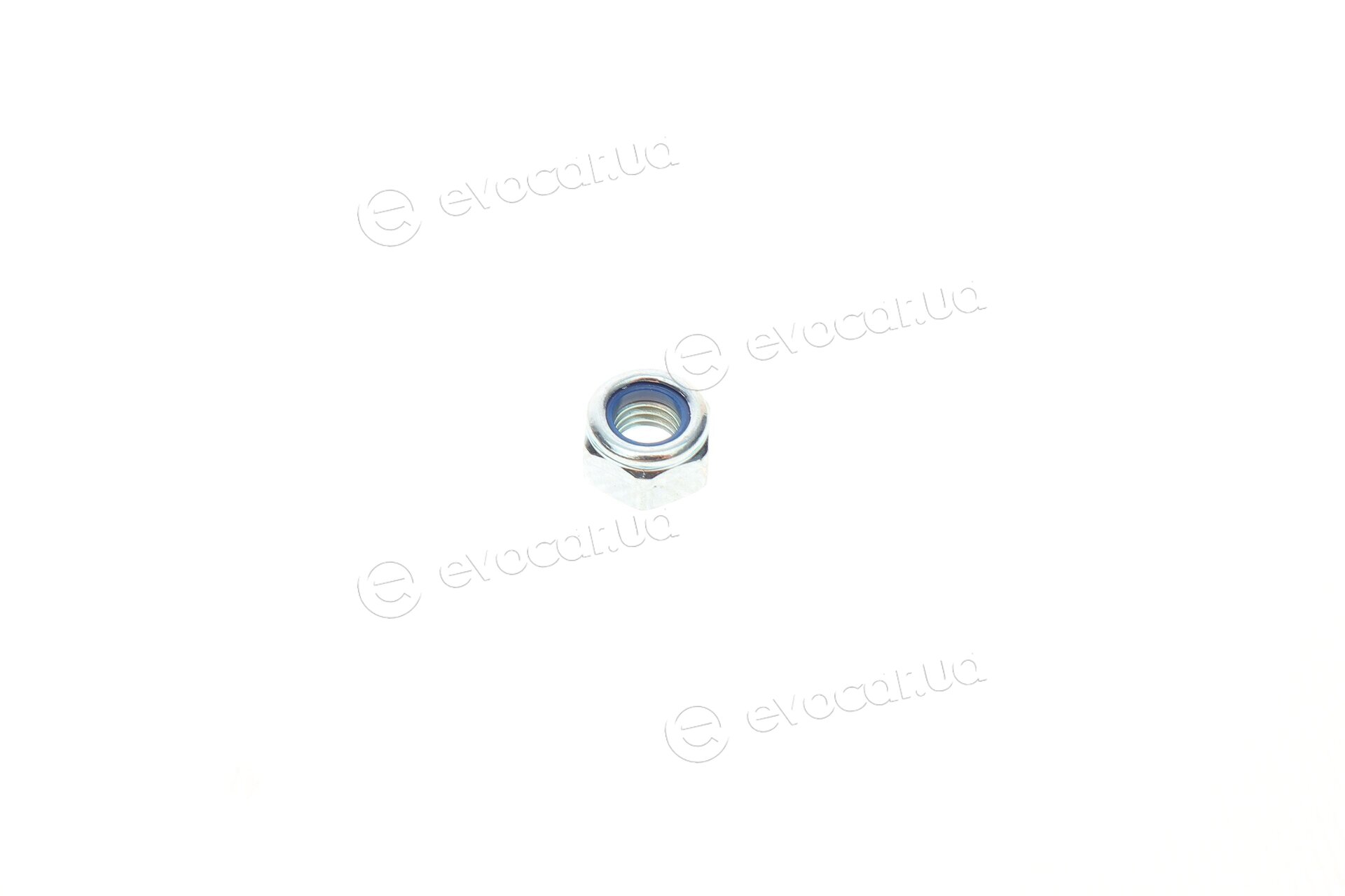 Solgy 203105
