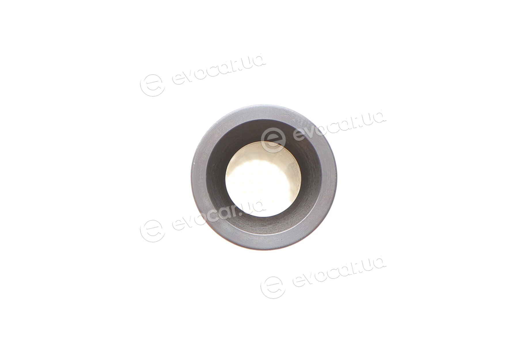 Mahle 028 PI 00117 002