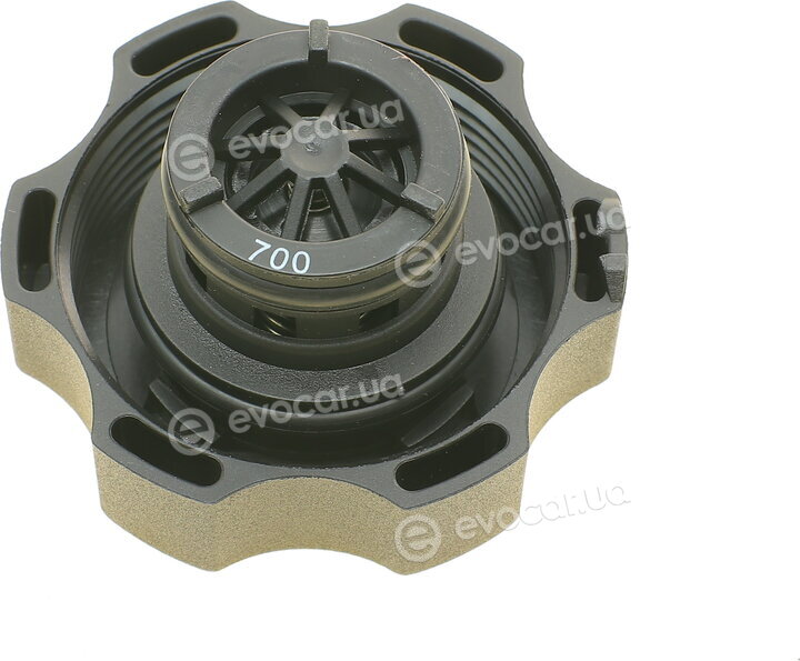 Blue Print ADG09928