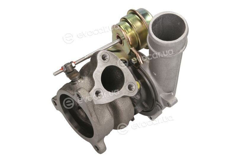 BorgWarner 53049880023