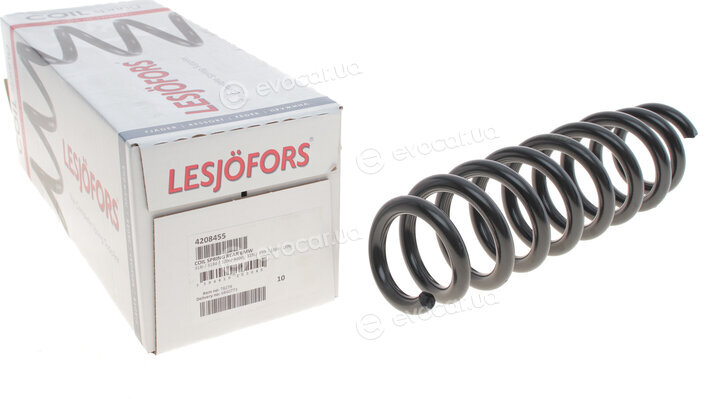 Lesjofors 4208455