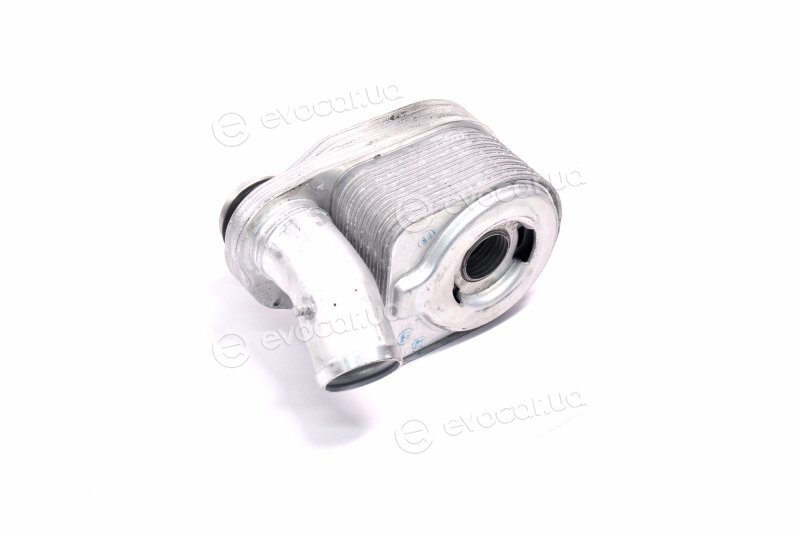 Van Wezel 17013703