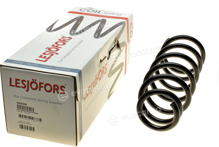 Lesjofors 4262046