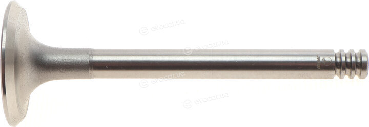 AMP PAUD013-S-0-N