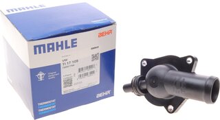 Mahle TI 17 109