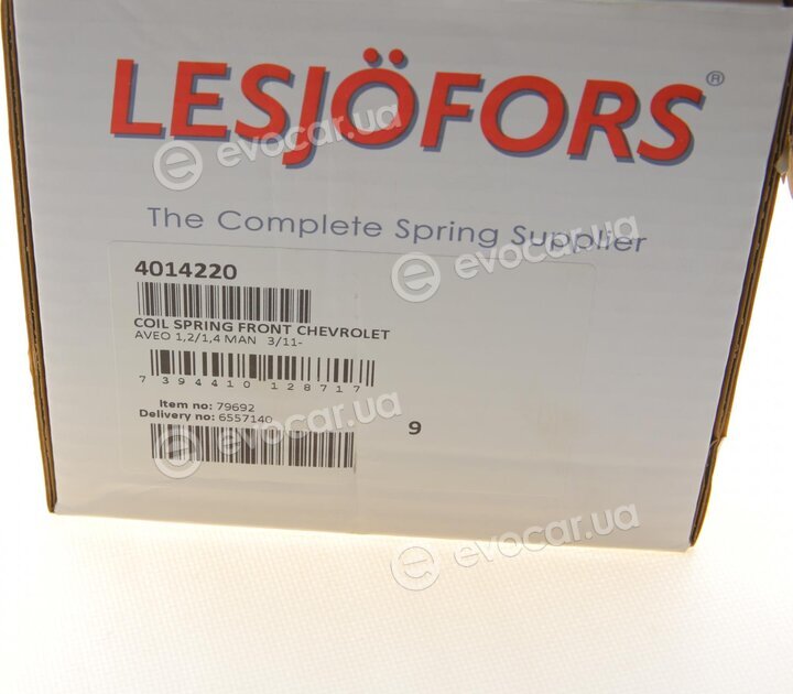 Lesjofors 4014220