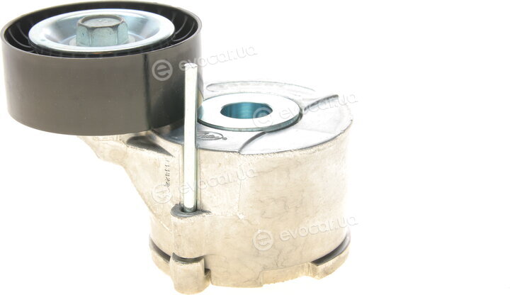 Dayco APV3865