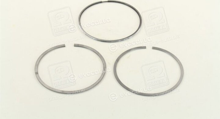 Mahle 030 60 N0