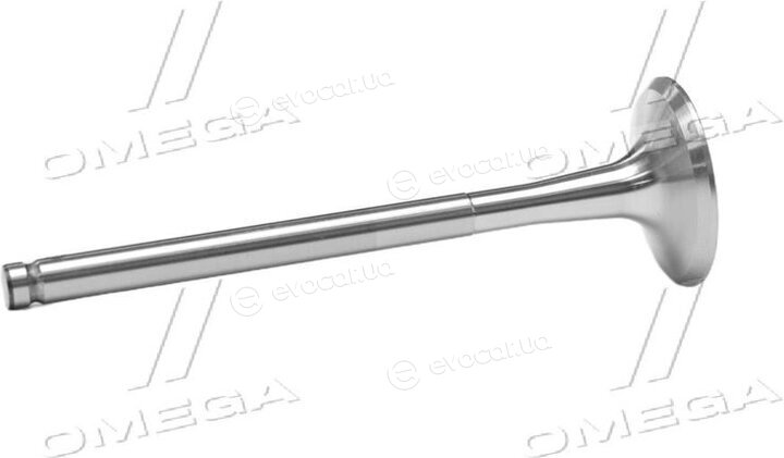 Gunes 4620