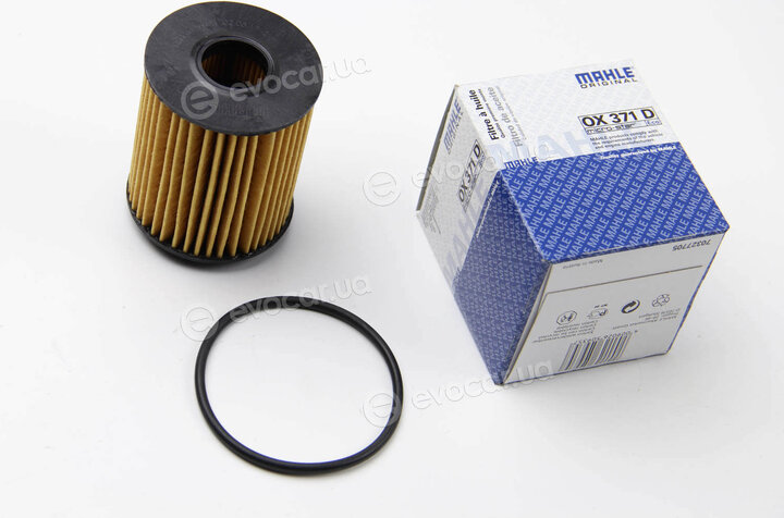 Mahle OX 371D