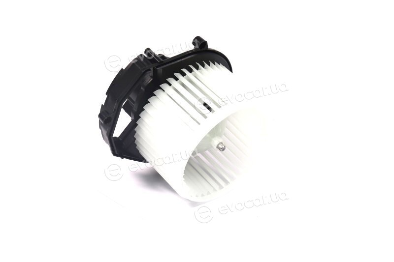 Van Wezel 0905773