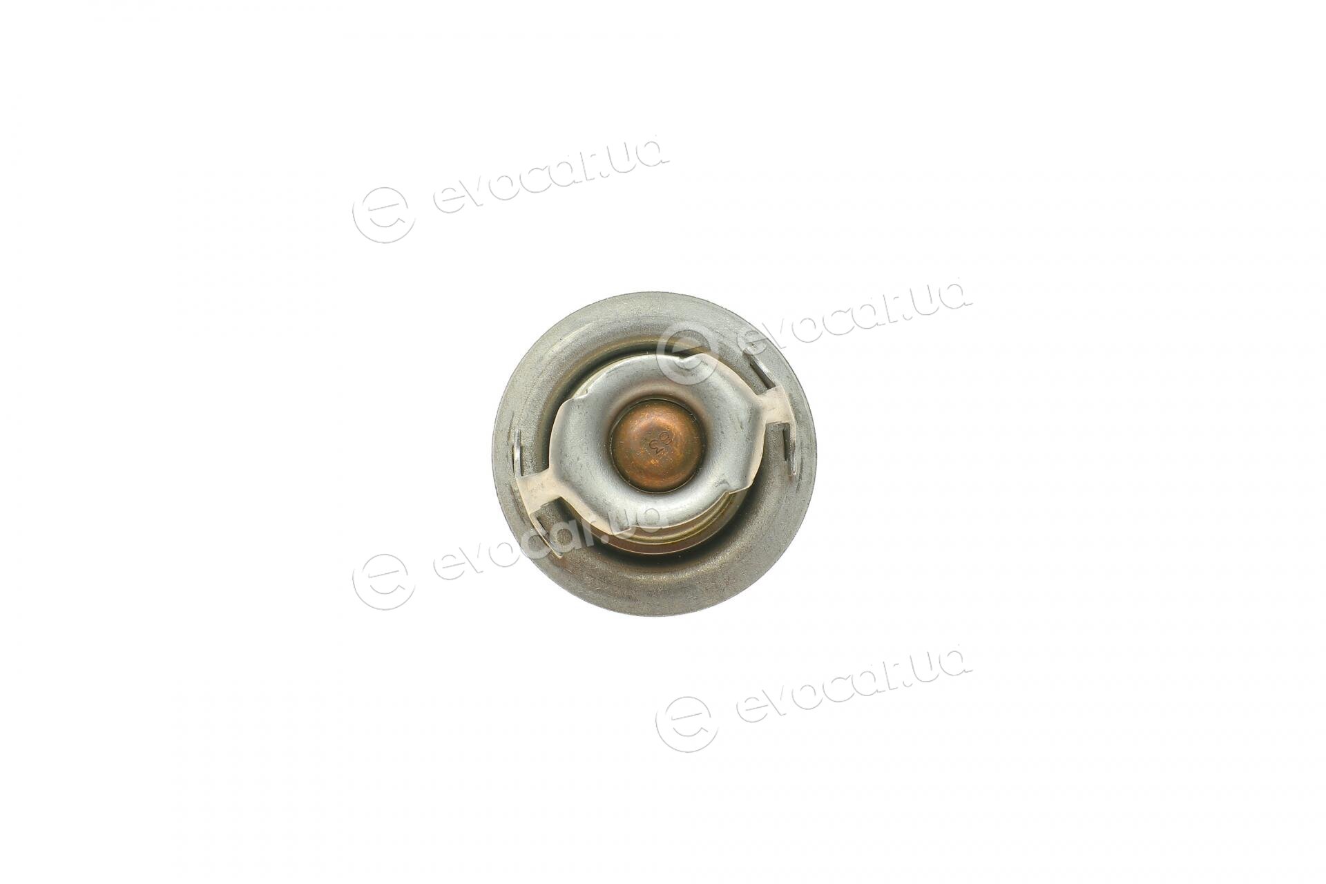 Mahle TX 101 83D