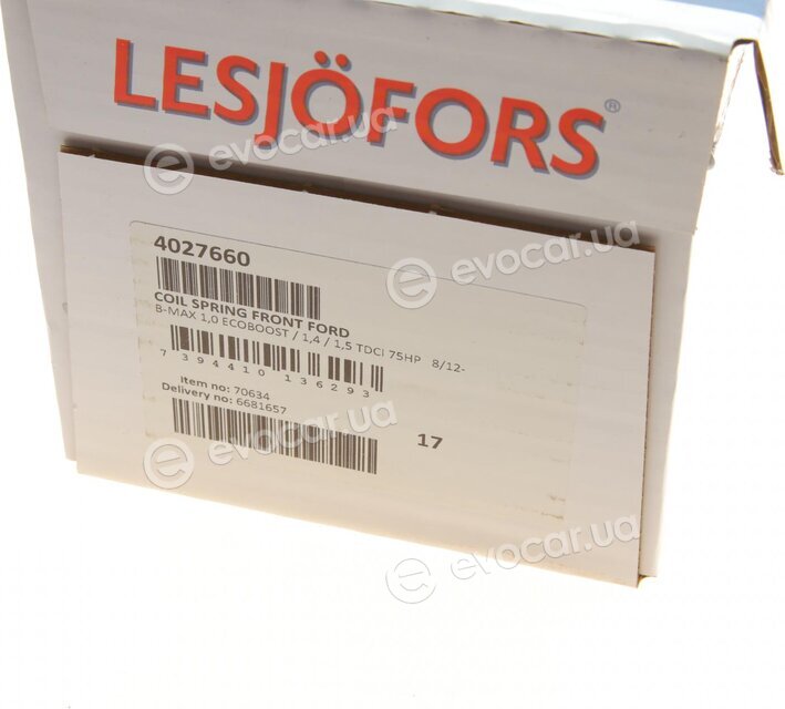 Lesjofors 4027660