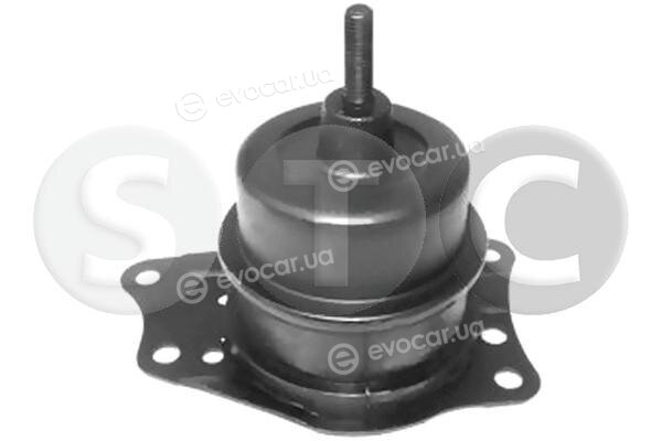Metalcaucho / STC T404786