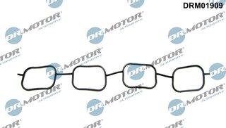 Dr. Motor DRM01909