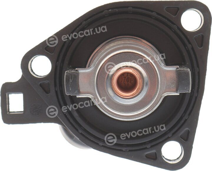 Motorad 636-77K