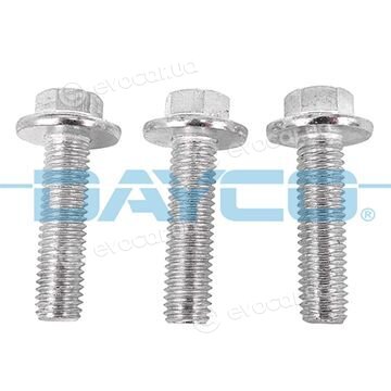 Dayco V0176