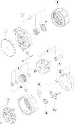 Mahle MG 781
