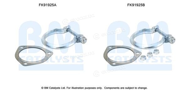 BM Catalysts FK91925