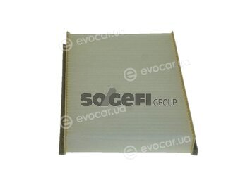 Coopers Fiaam PC8365