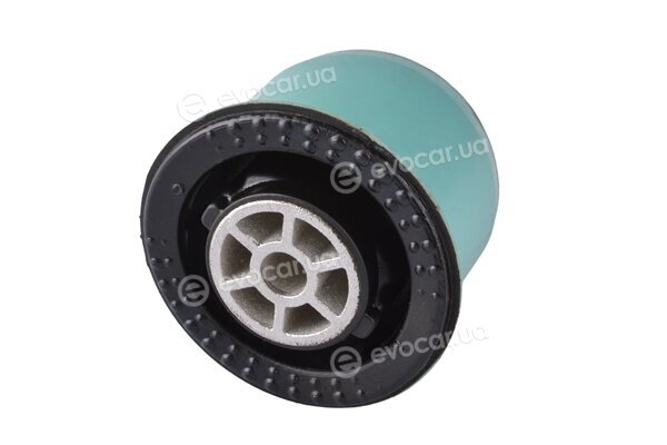 Tedgum TED43873