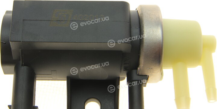 Solgy 402013