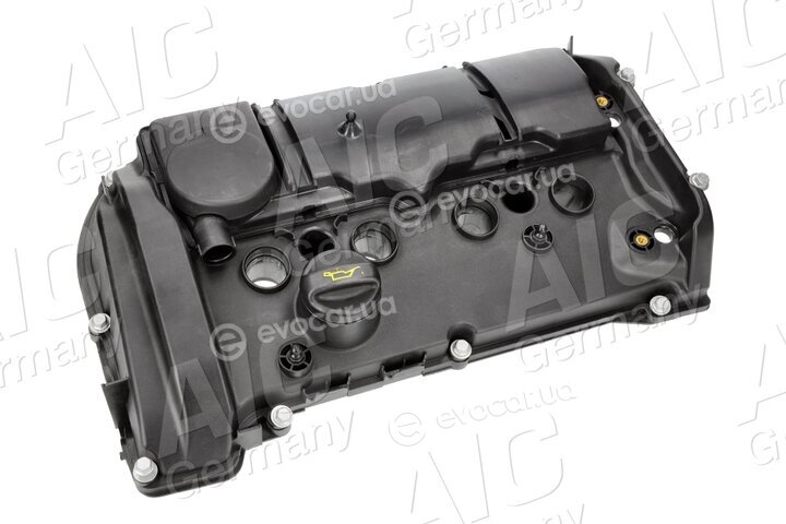 AIC 58176