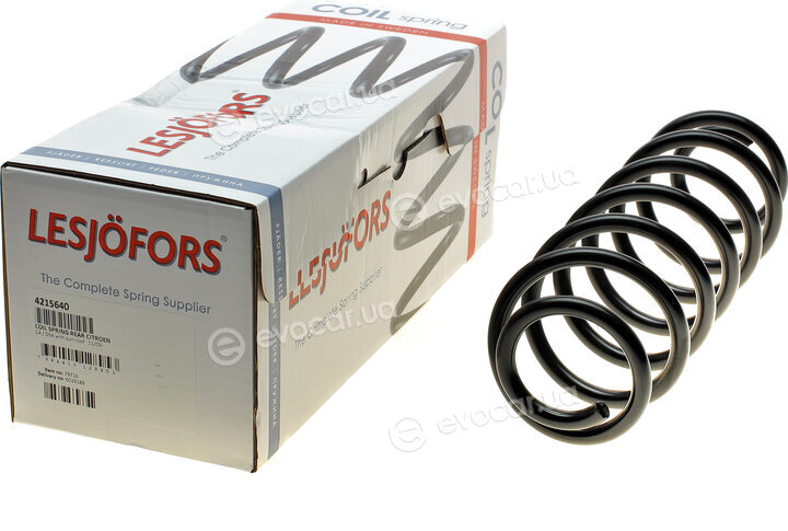 Lesjofors 4215640