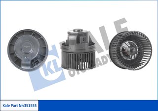 Kale 351555