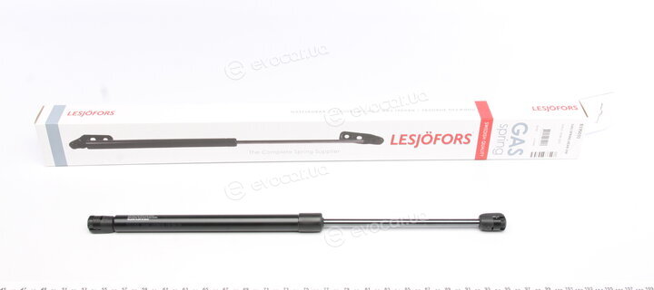 Lesjofors 8195031