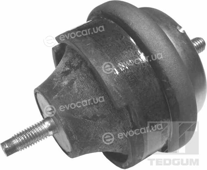 Tedgum 00145015