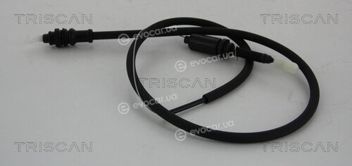 Triscan 8140 25342