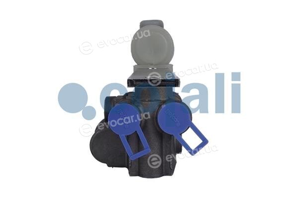 Cojali 2314114