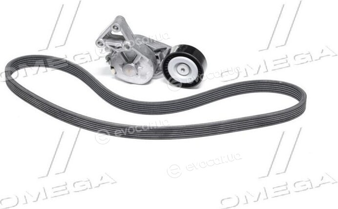 Continental 6DPK1195K2