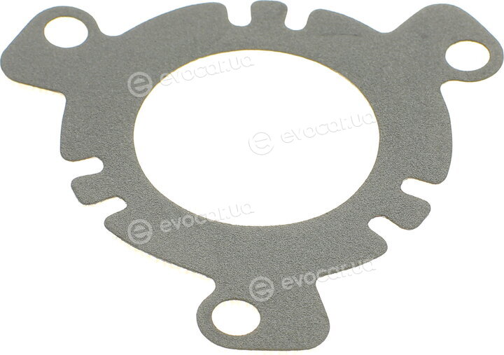 Elring 527.550