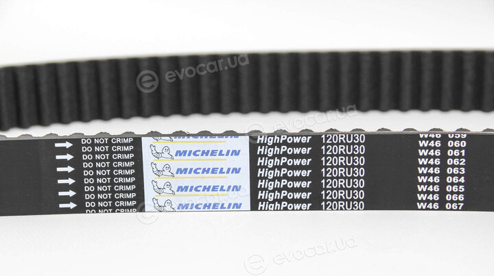 Michelin FM010569