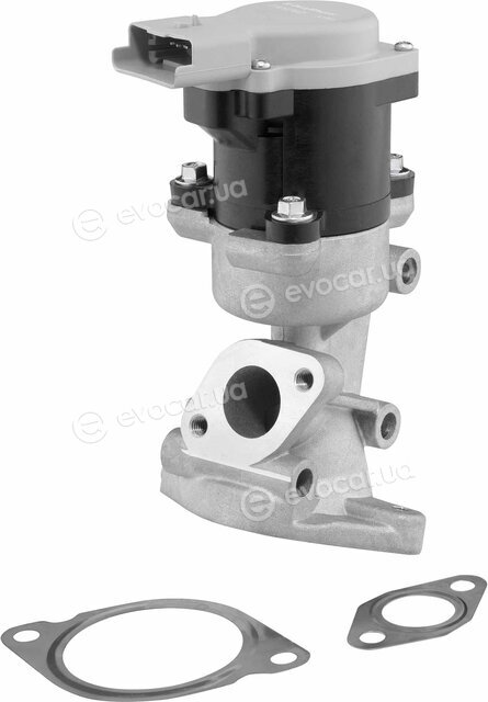 Wahler / BorgWarner 710976D