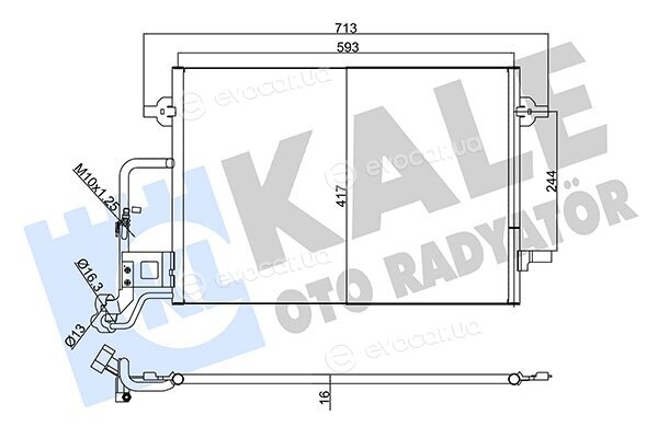 Kale 342920